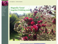 genie-magnolia.de Webseite Vorschau
