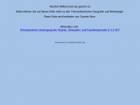 geomin.ch Webseite Vorschau