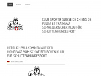 cscpt.ch Webseite Vorschau