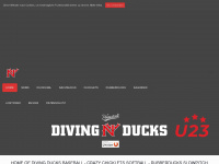divingducks.com Webseite Vorschau