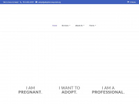 adoption-beyond.org Webseite Vorschau