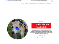 hunde-sport.ch Thumbnail