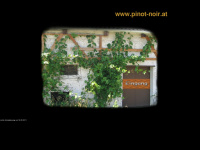 pinot-noir.at Webseite Vorschau