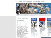 rheydt-online.de Webseite Vorschau