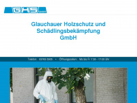 ghs-glauchau.de