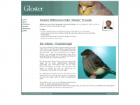 gloster.at Webseite Vorschau
