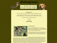 goldenforever.de Webseite Vorschau