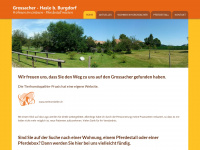 grossacher.ch Webseite Vorschau