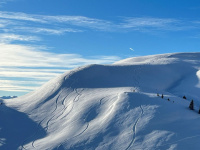 gruenberger-ski-club.de Thumbnail