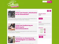 gruene-aarau.ch Webseite Vorschau