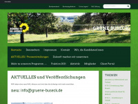 gruene-buseck.de Webseite Vorschau