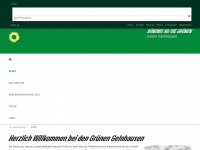gruene-gelnhausen.de Webseite Vorschau