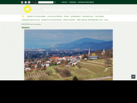 gruene-hirschberg.de Webseite Vorschau