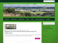 gruene-mechernich.de Webseite Vorschau