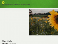 gruene-rheiderland.de Webseite Vorschau