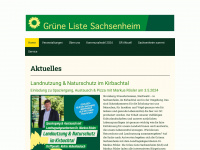 Gruene-sachsenheim.de