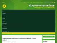 gruene-schwandorf.de Webseite Vorschau