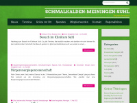 gruene-sm.de Webseite Vorschau