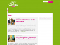 gruene-zuchwil.ch Webseite Vorschau