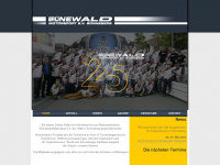 gruenewald-motorsport.de Webseite Vorschau