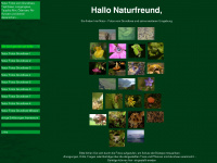 grundlsee-naturfotos.de Webseite Vorschau