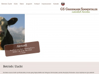 gs-grossmann.ch Webseite Vorschau