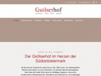 gsoels.at Webseite Vorschau