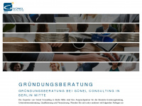 guenel-consulting.de Webseite Vorschau
