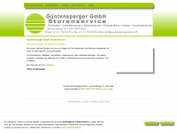guentenspergerstoren.ch Webseite Vorschau