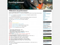 guntherwasser.de Webseite Vorschau
