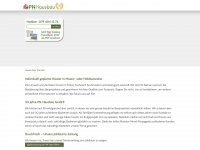 pn-hausbau.ch Webseite Vorschau