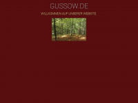 Gussow.de