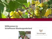 gysel-haumesser.ch Webseite Vorschau