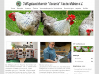 gzv-aschersleben.de Webseite Vorschau