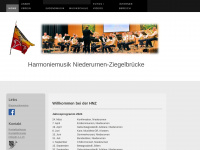 h-n-z.ch Webseite Vorschau