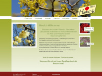 haemmig.ch Webseite Vorschau