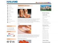 hailiang.de Webseite Vorschau