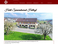 hallwylseengen.ch Webseite Vorschau