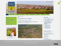 kallstadt.de Webseite Vorschau