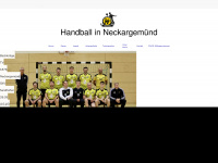 tvn1876-handball.de Thumbnail