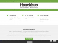 haneklaus-daemmtechnik.de Webseite Vorschau