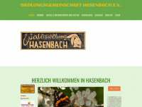 hasenbach.de Webseite Vorschau