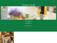 hasinger.at Webseite Vorschau