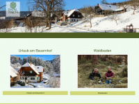 haunzwicklhof.at Webseite Vorschau