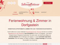 haus-schnepfleitner.at Webseite Vorschau