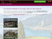hauspiesendorf.com Webseite Vorschau