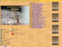 hb9thj.ch Webseite Vorschau