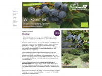 heidelbeergarten.at Webseite Vorschau