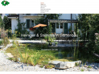 heiniger-steinmann.ch Webseite Vorschau