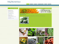 helgblumen.ch Webseite Vorschau